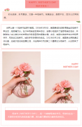 <b>【領(lǐng)威安?！恐戮醋顐ゴ蟮哪赣H</b>